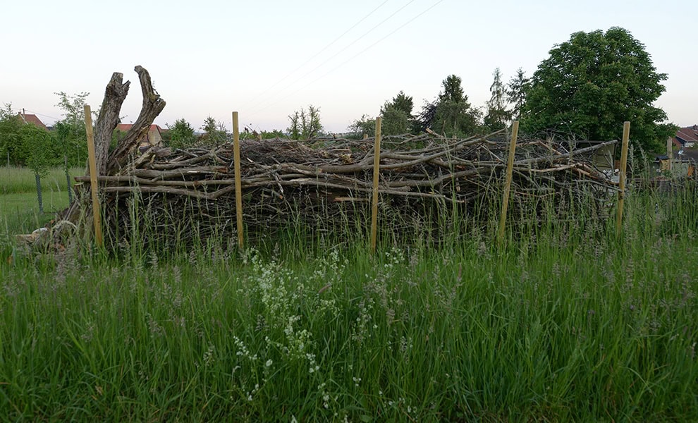 Benjes hedge (Wikimedia Commons)