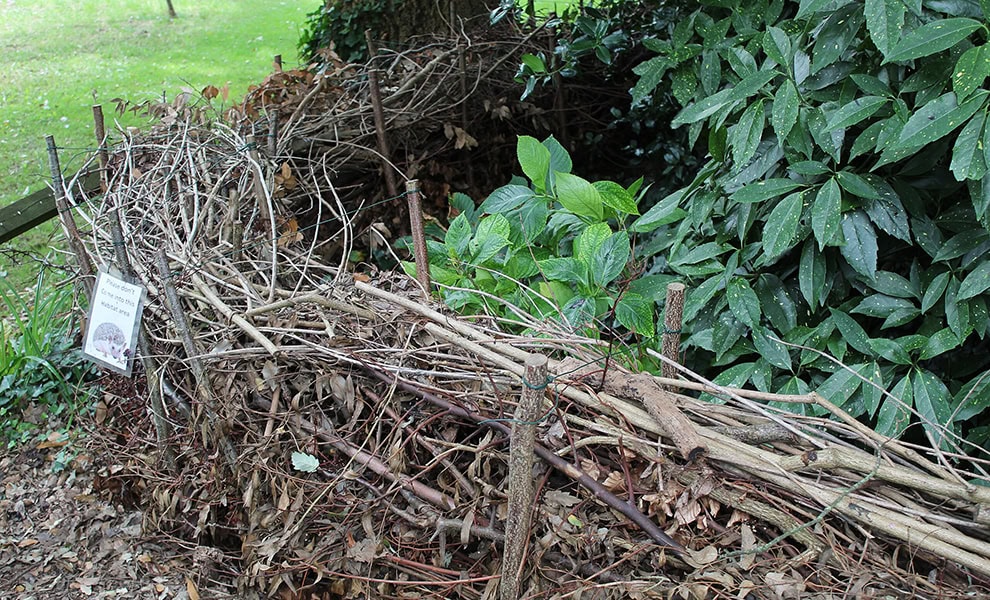 Dead hedge Royal Fort Gardens Bristol (Wikimedia Commons)