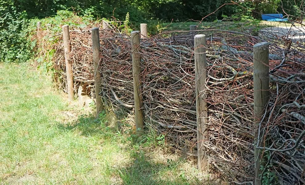 Habitat dead hedge (photo: RSPB)