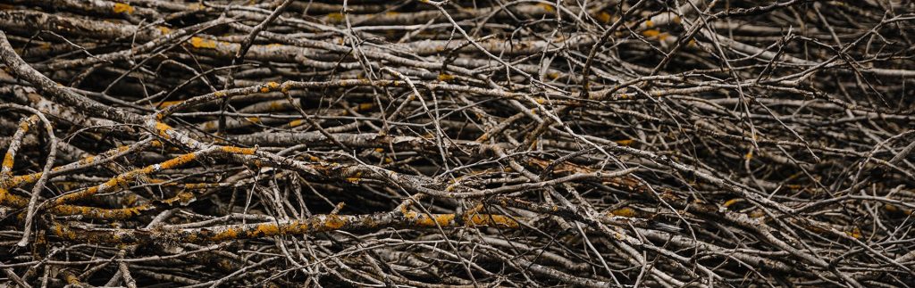 How to make a dead hedge or habitat hedge featured Basic Autonomy