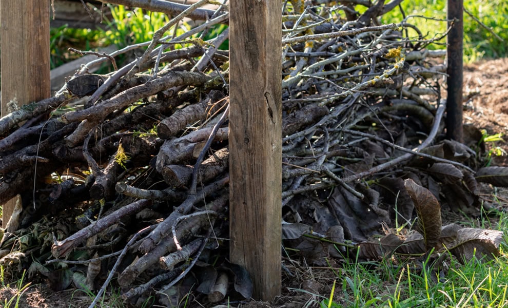 Start of a dead hedge