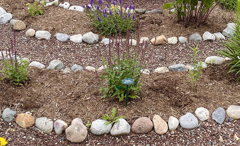 basic autonomy alternating mulches licenced stock image