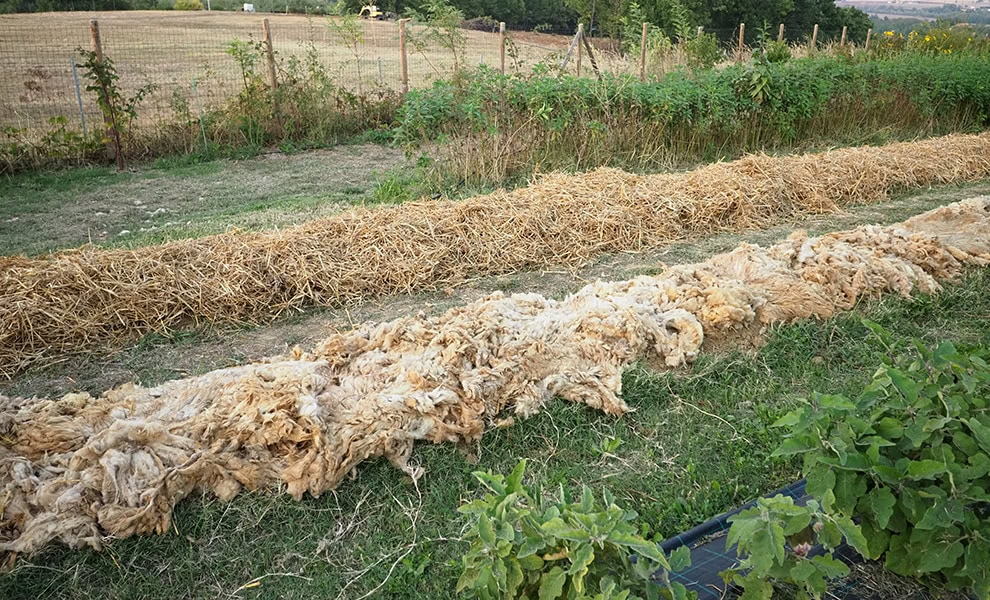 basic autonomy straw and wool mulches licenced stock image