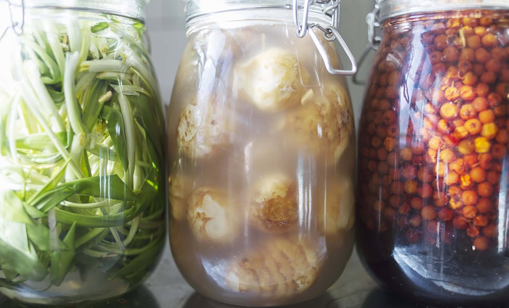 fermenting single fruits or vegetables stock image