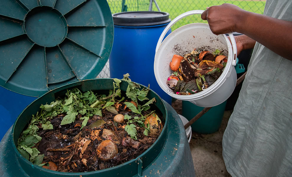 Composting in a plastic dalek compost