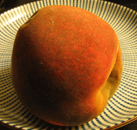 gif of a peach decaying over six days