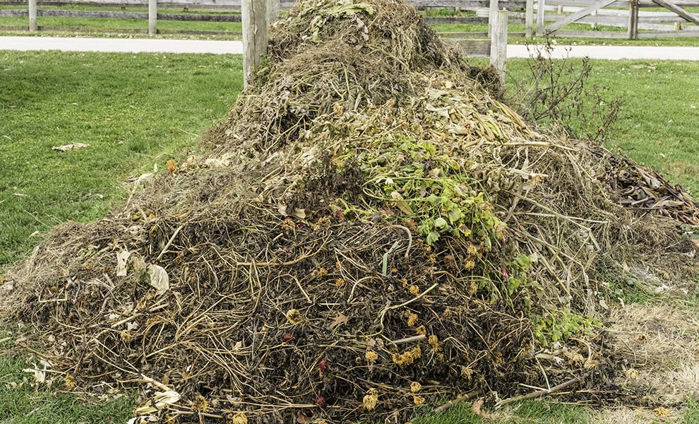Open compost heap in contact with the ground