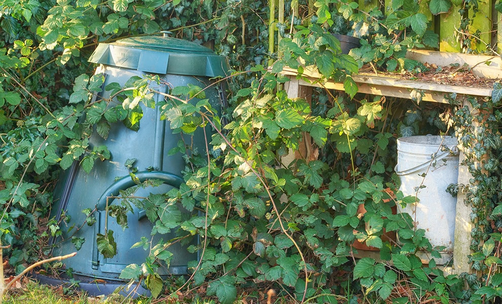 Plastic dalek compost bin blends in with garden