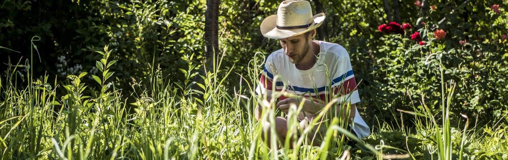 How to design your garden using permaculture principles Basic Autonomy
