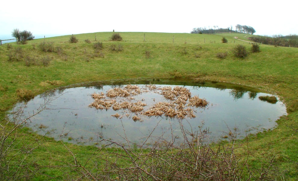 Chanctonbury Dew Pond rainwater collection