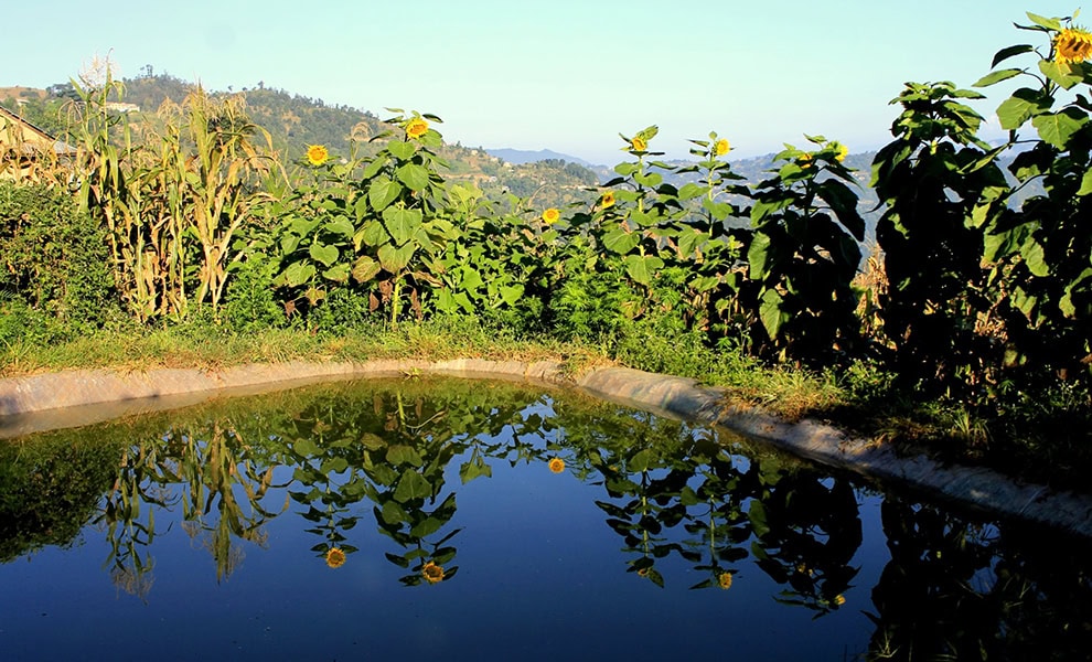 Rainwater harvesting in Nepal by Shree Krishna Dhital