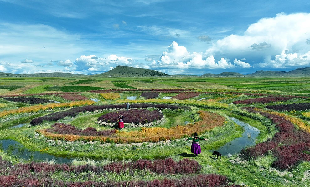 Waru waru fields Peru World Monuments Fund